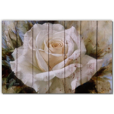 Картины Цветы - 4 Белая роза, Цветы, Creative Wood